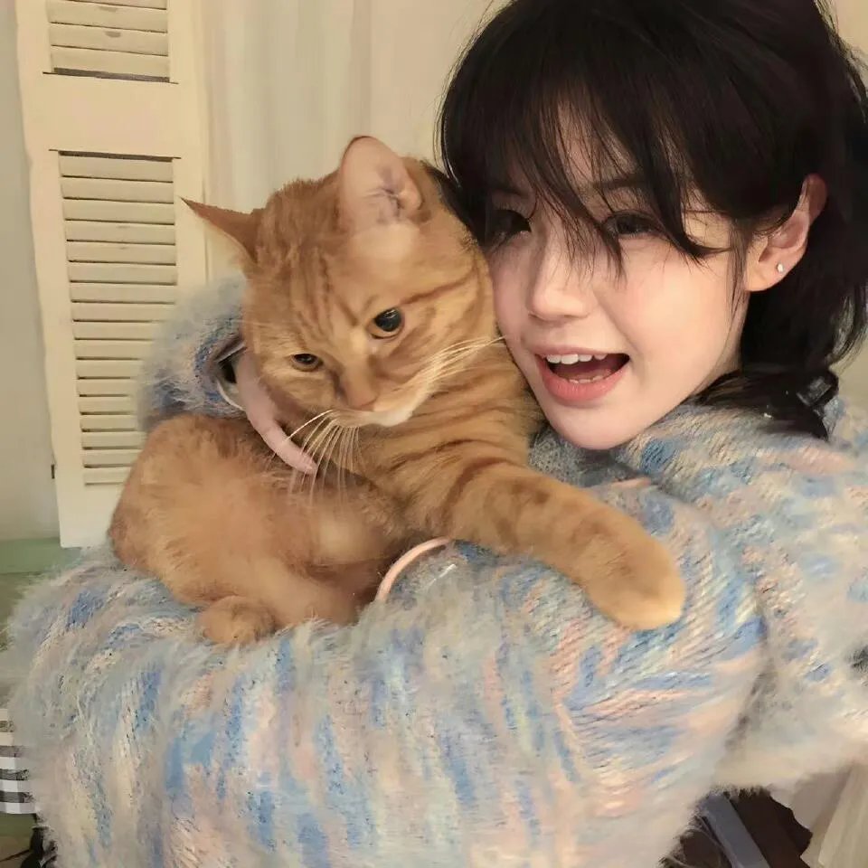 猫侍